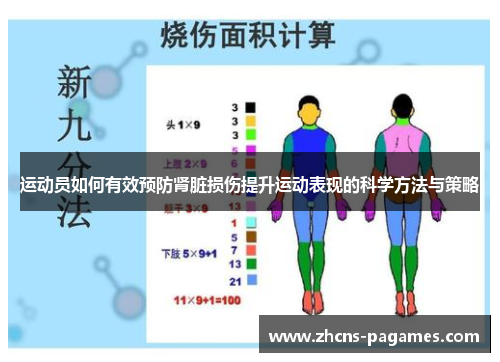 运动员如何有效预防肾脏损伤提升运动表现的科学方法与策略