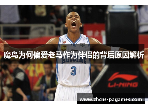 魔鸟为何偏爱老马作为伴侣的背后原因解析