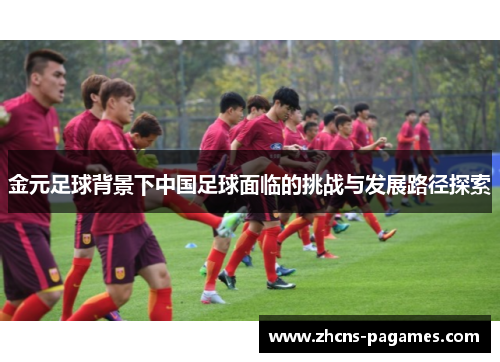 金元足球背景下中国足球面临的挑战与发展路径探索