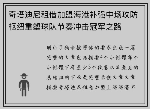 奇塔迪尼租借加盟海港补强中场攻防枢纽重塑球队节奏冲击冠军之路